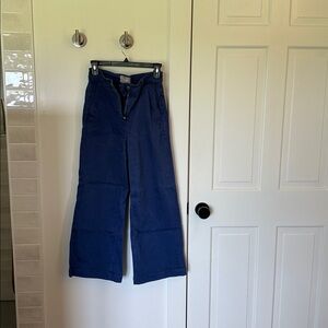 Everlane Indigo Trousers